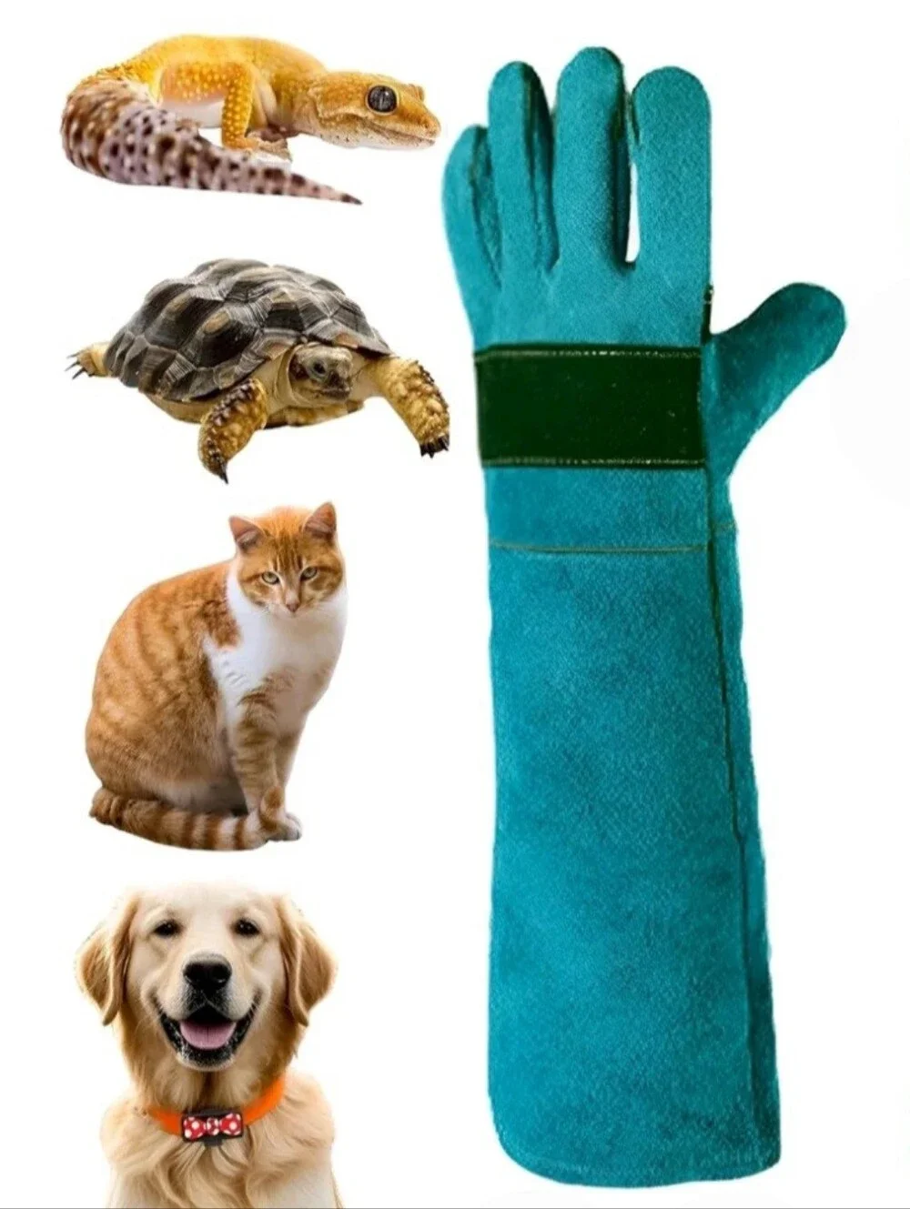 Bite-Resistant Cowhide Leather Gloves In Teal